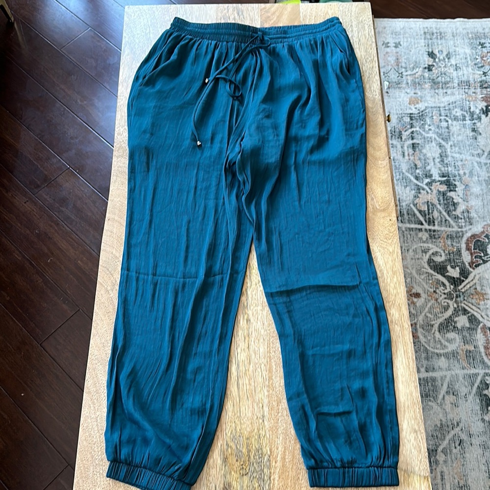 Naked zebra teal flowy lined dressy jogger style pant L